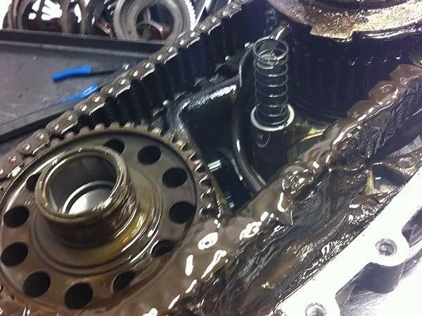 Gear and chain assembly lubricated with oil; spring visible.