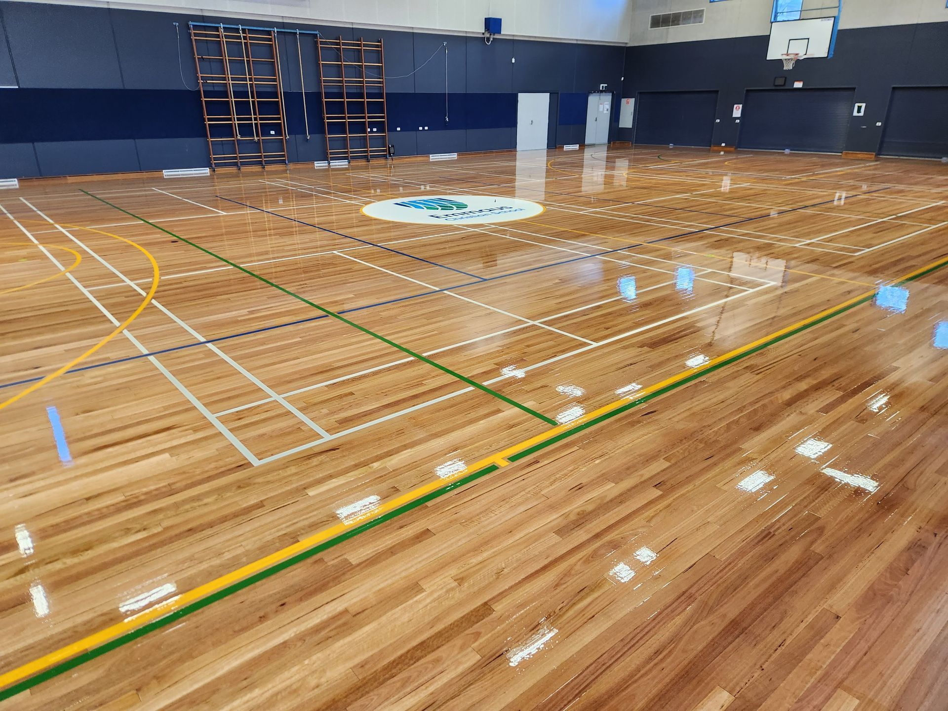 Empty indoor gymnasium with polished wooden floor and blue walls, marked for multiple sports.