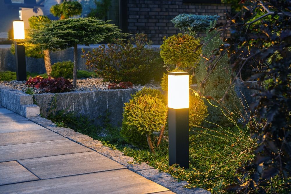 There are a lot of lights in the garden at night.