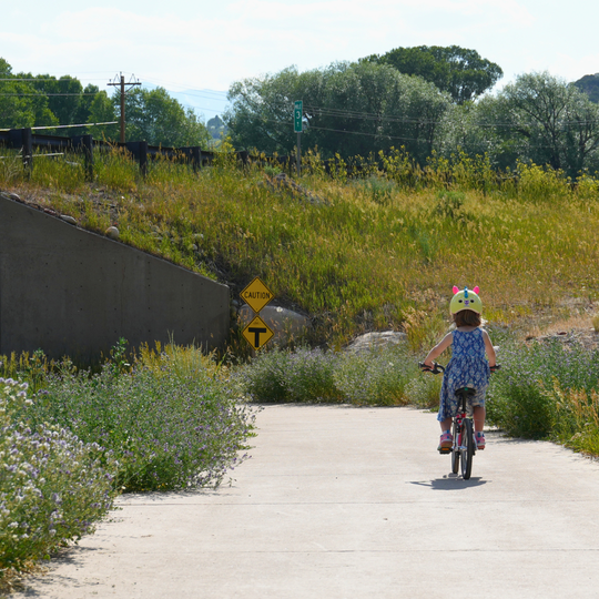 people walking across a trail bridge