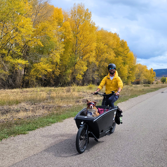 person in yellow jacket riding e-bike with a dog in the front basket