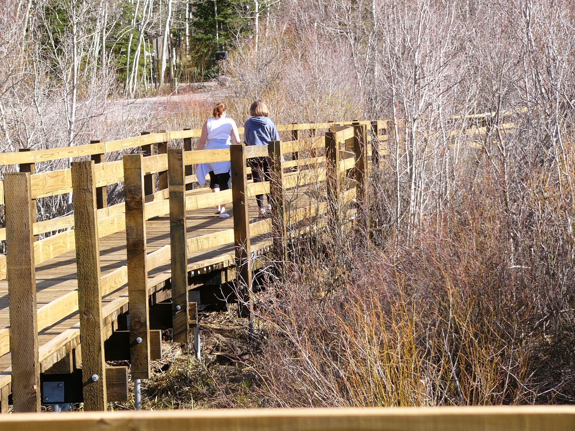 Two people walking on a wooden boardwalk through a dry marshland in late fall  with slow & say hello in colorado