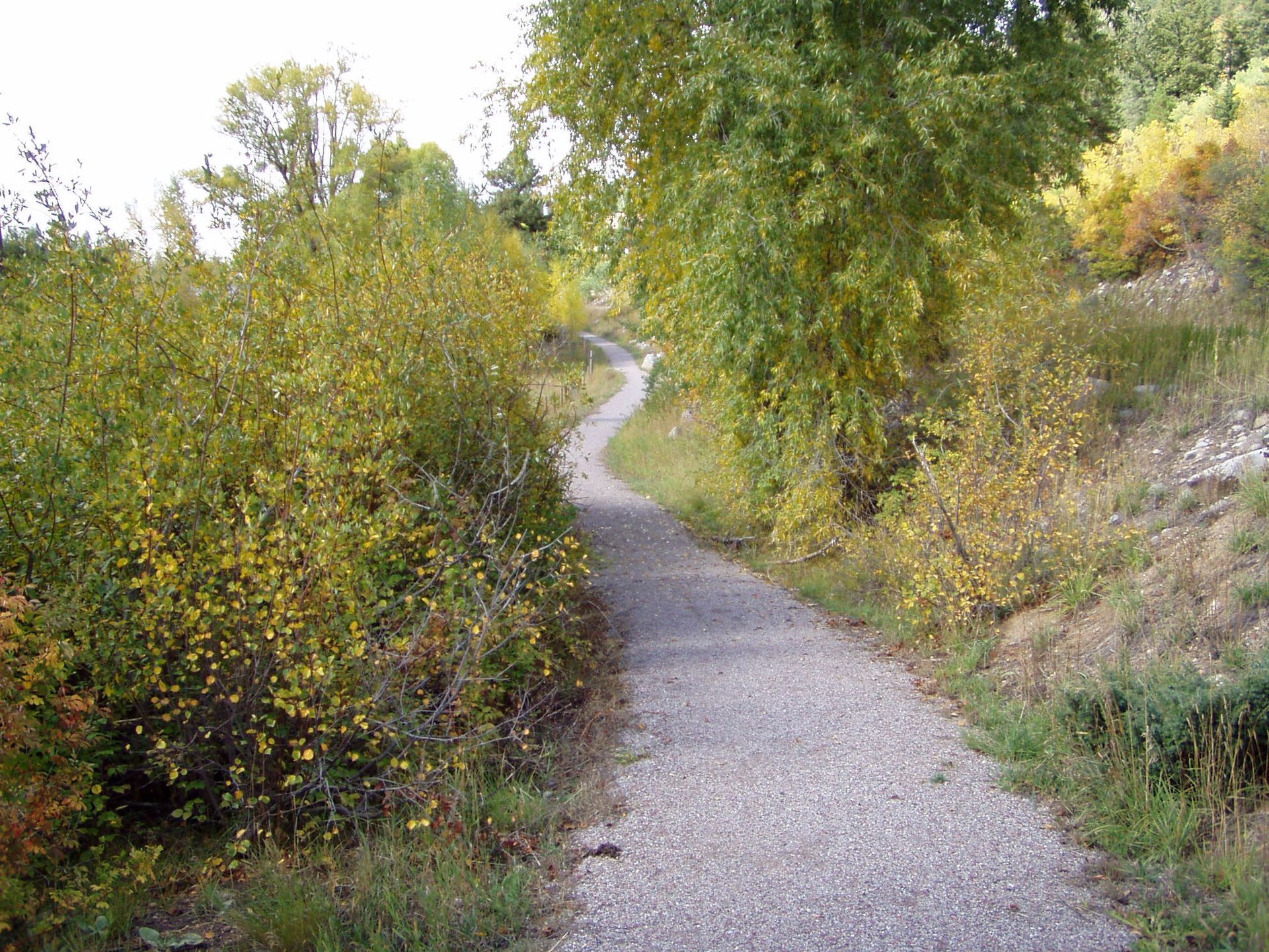 Narrow gravel path winding through green and yellow shrubs in a wooded area  with slow & say hello in colorado