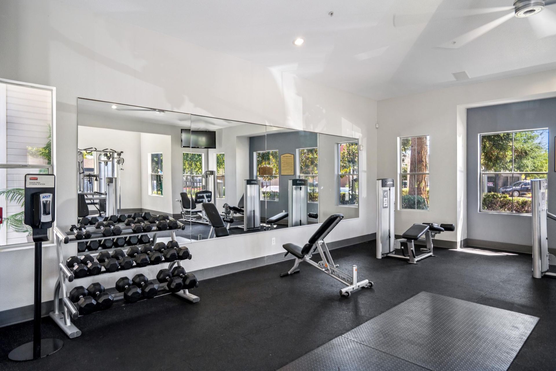 Bright gym interior with dumbbells, mirrors, exercise machines, and black flooring