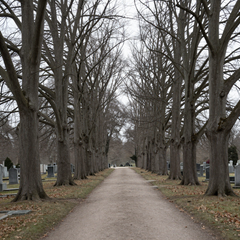 Assistenza funebre e cimiteriale
