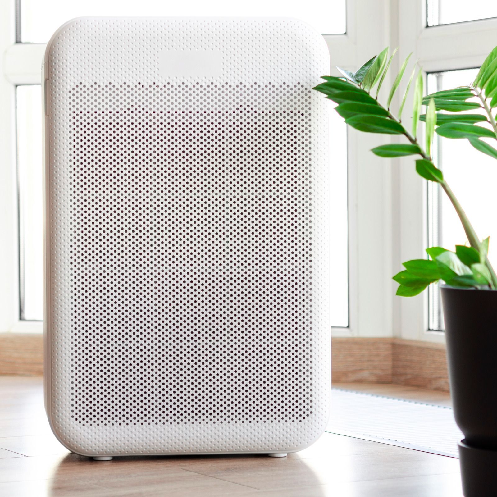 White air purifier by a bright window next to a potted plant