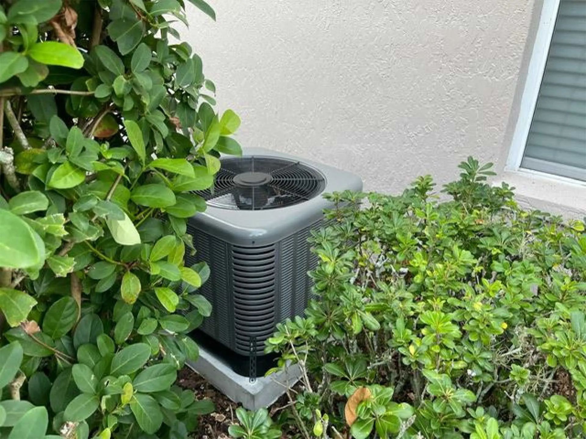 Outdoor air conditioner unit beside a house wall, partly surrounded by green shrubs.