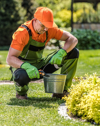 Lawn fertilization completed with visible healthy green growth