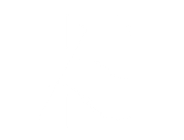 The Aesthetic Edit logo