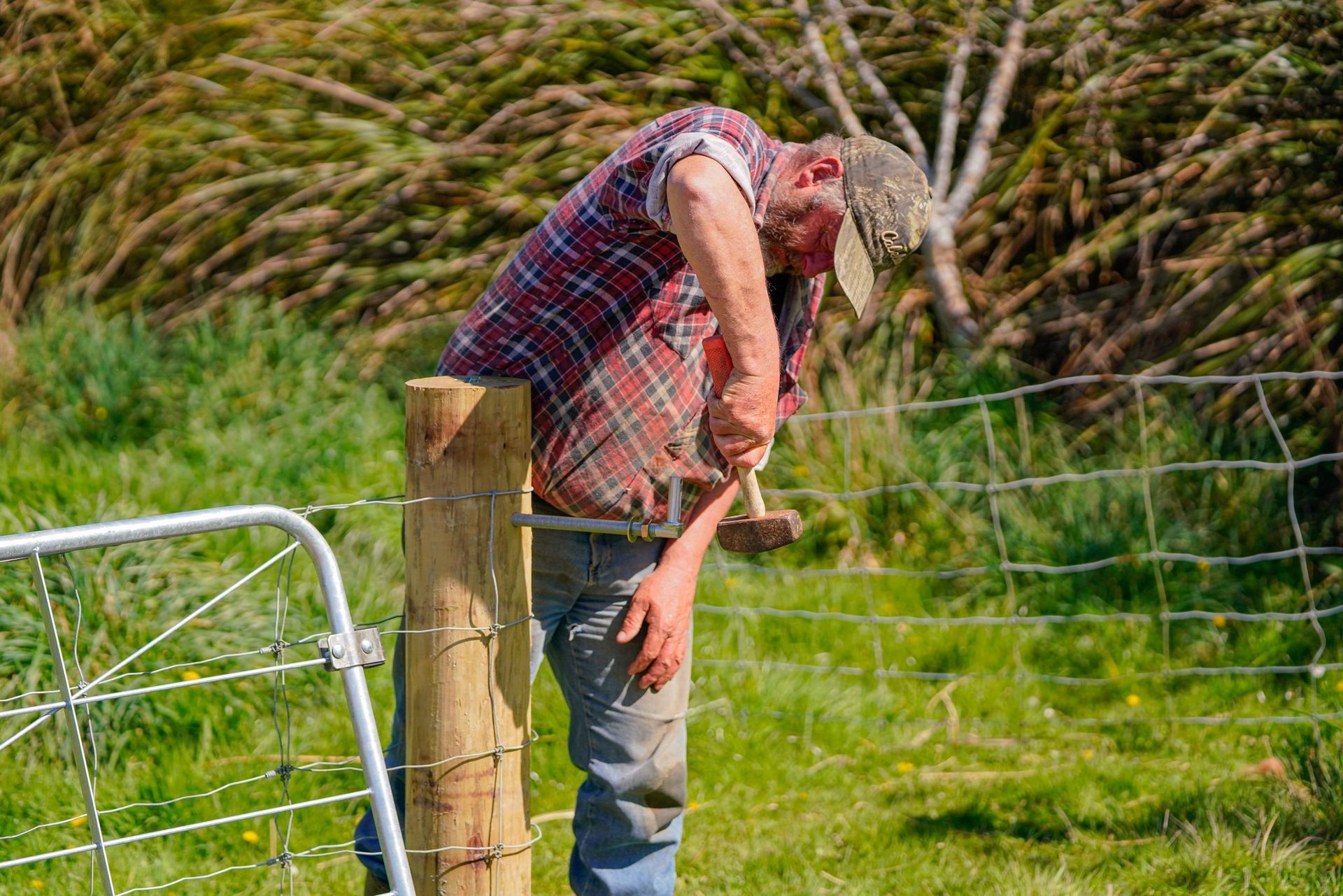 Person leaning on a wooden fence post in a grassy field, wearing a plaid shirt and jeans