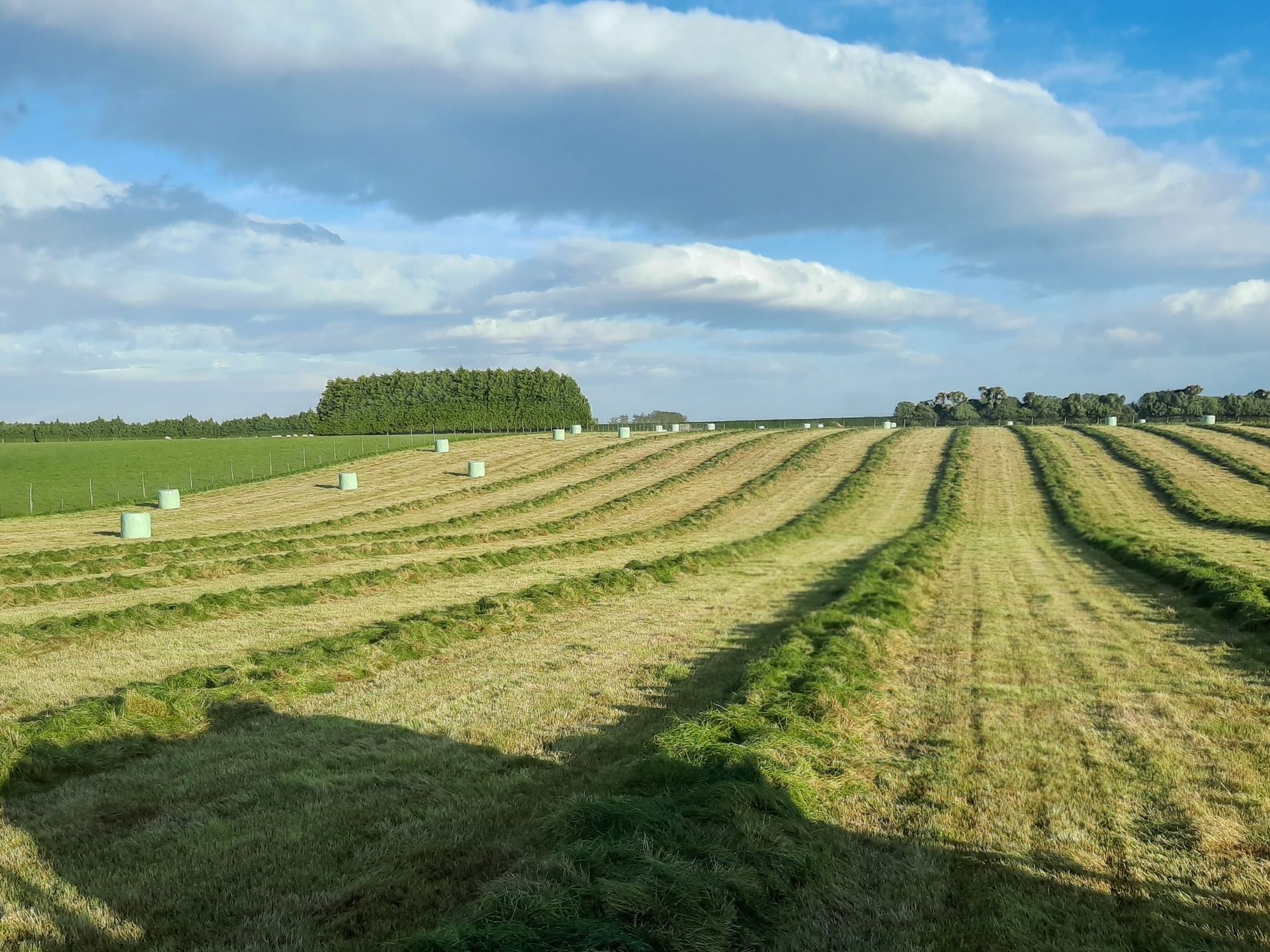Red tractor towing wrapped hay bales, with front loader lifting a bale along a roadside.