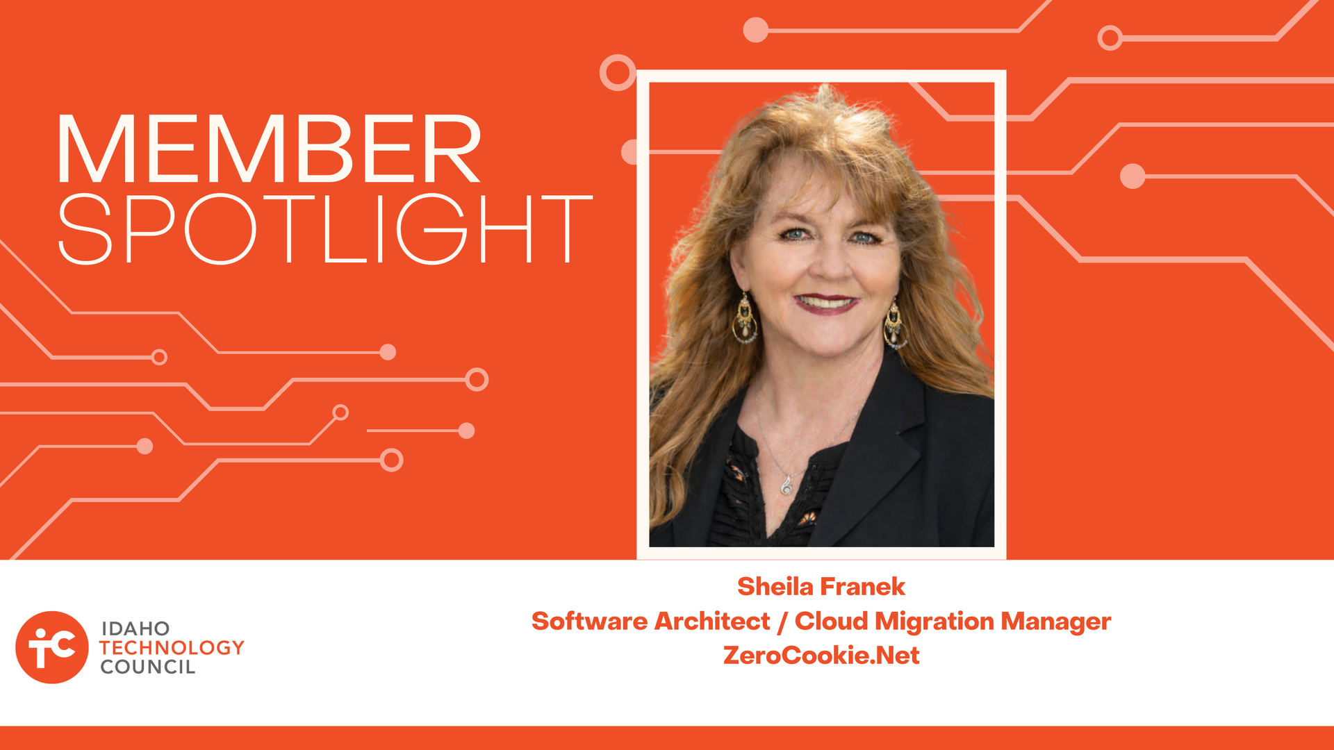 Member Spotlight