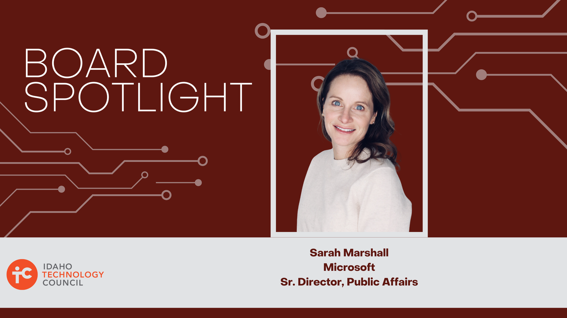 Member Spotlight