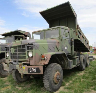A dump truck with the license plate b9n is parked in a grassy field