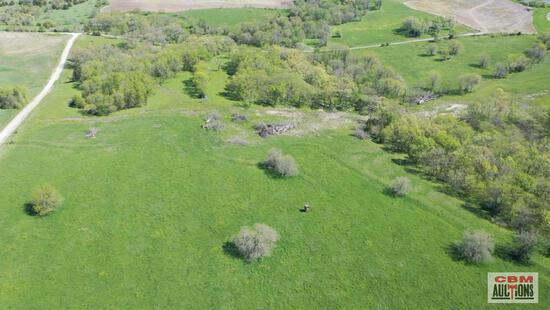 An aerial view of a green field with trees and a dirt road.
