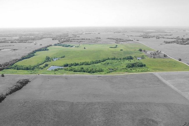 An aerial view of a large grassy field with trees and a road.