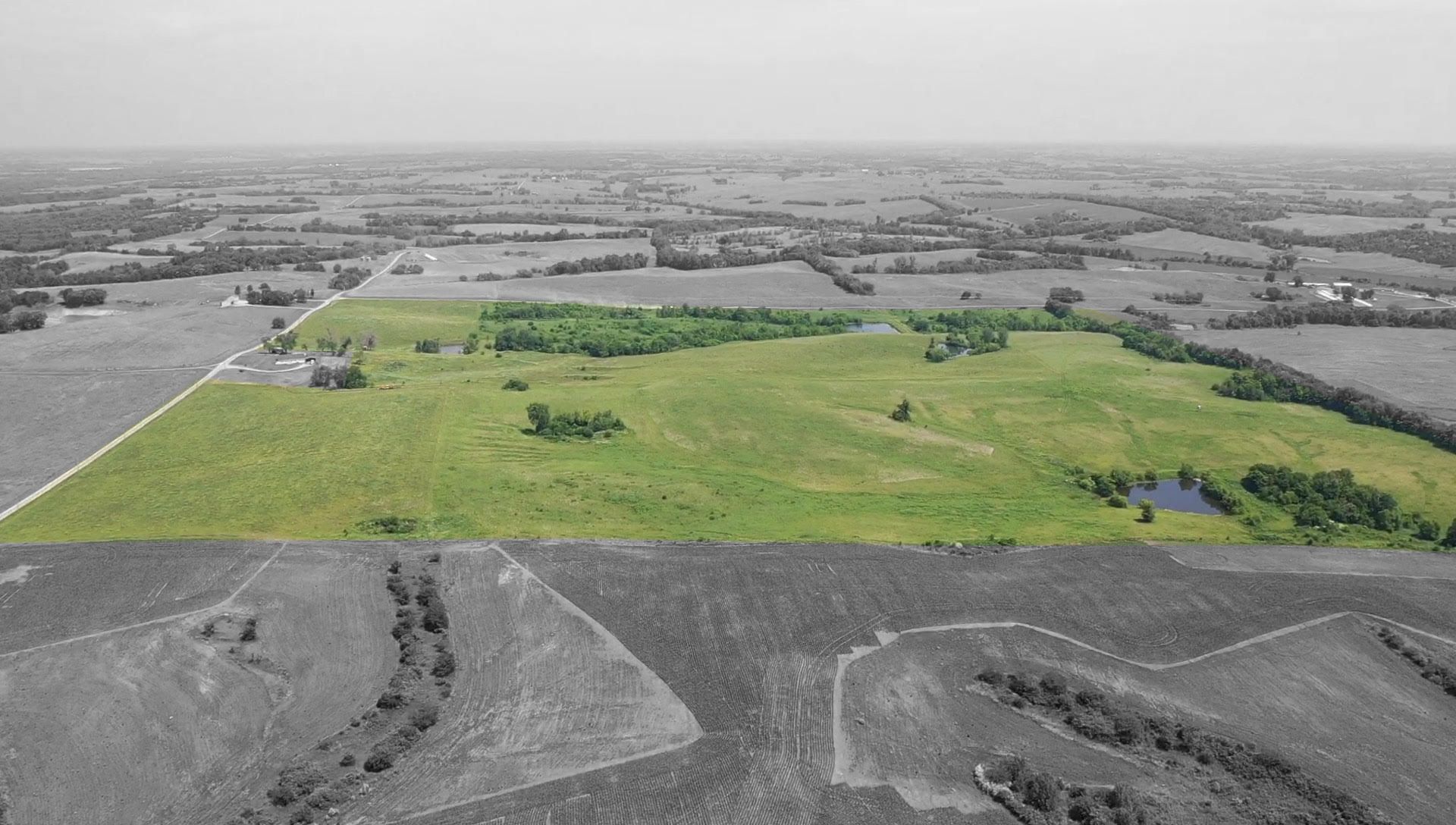 An aerial view of a large green field surrounded by trees.