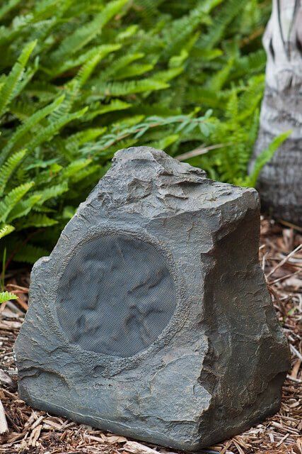 Engraved gray stone monument in a garden with green ferns and a birch trunk.