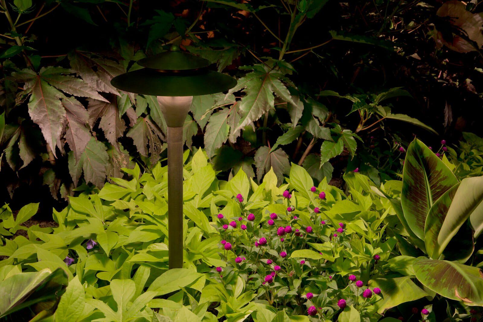 Dense tropical garden with bright green and purple foliage around a dark lamp post