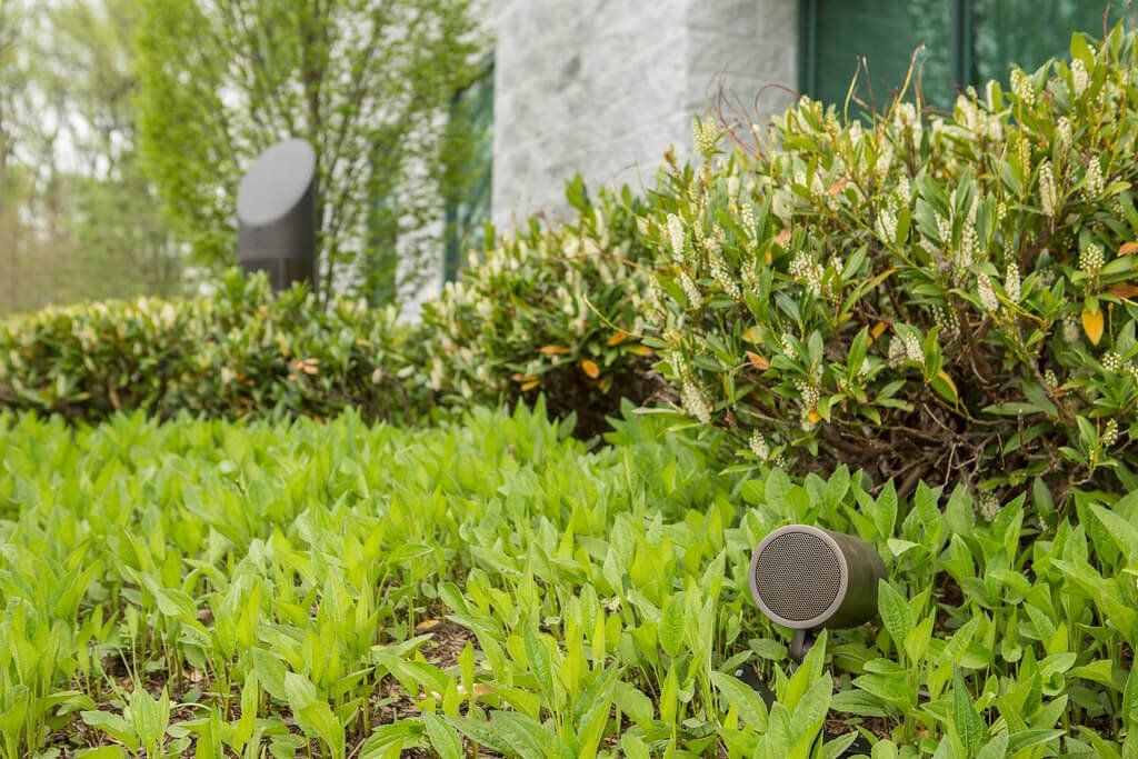 Green shrubs with small garden lights in a landscaped outdoor area