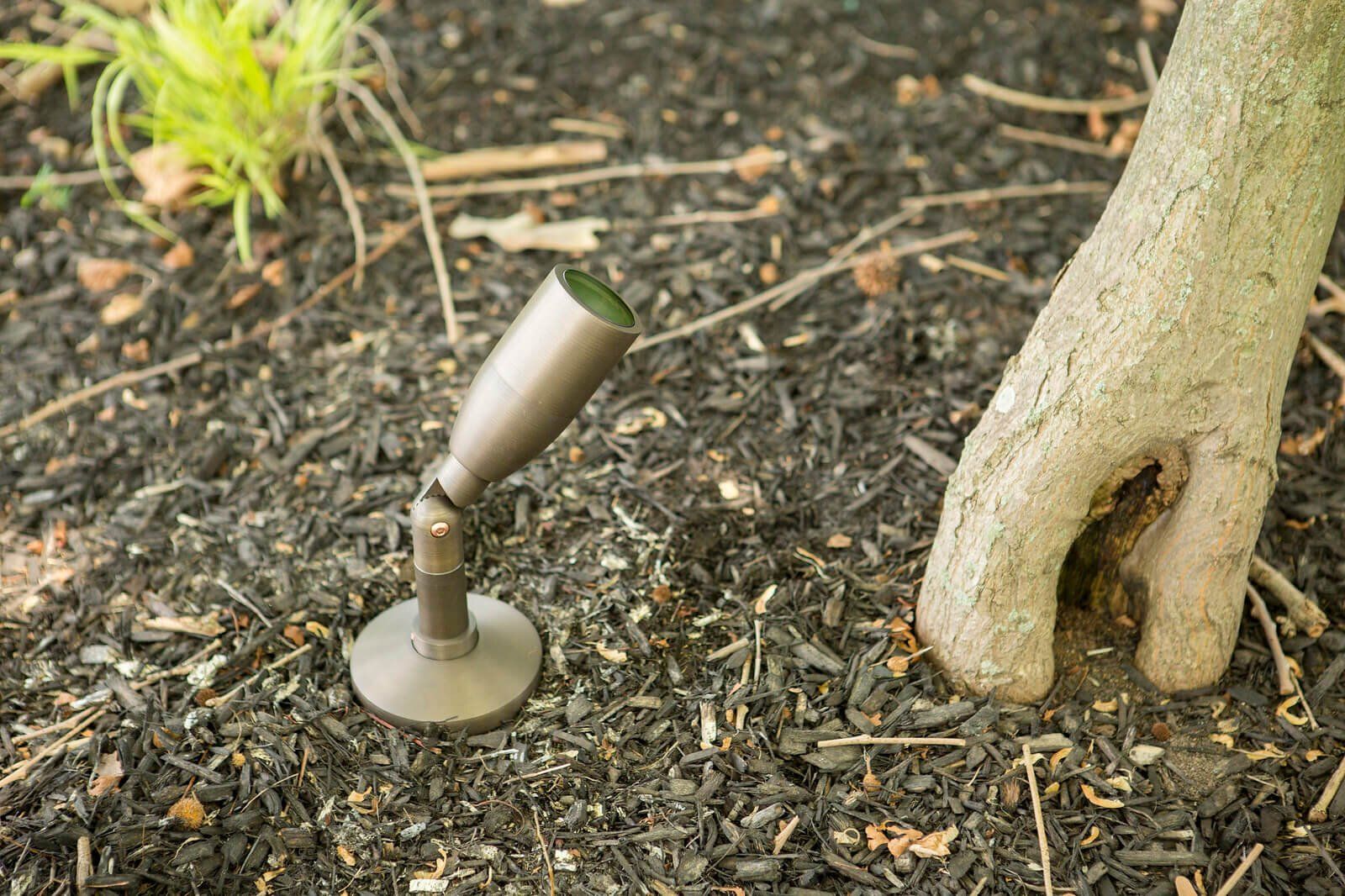 Landscape spotlight beside a tree trunk in mulch-covered garden soil