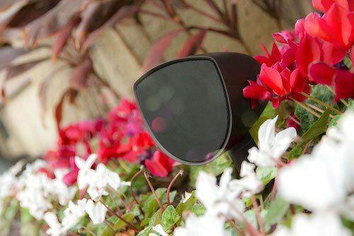 Black sunglasses among red and white flowers on a floral background