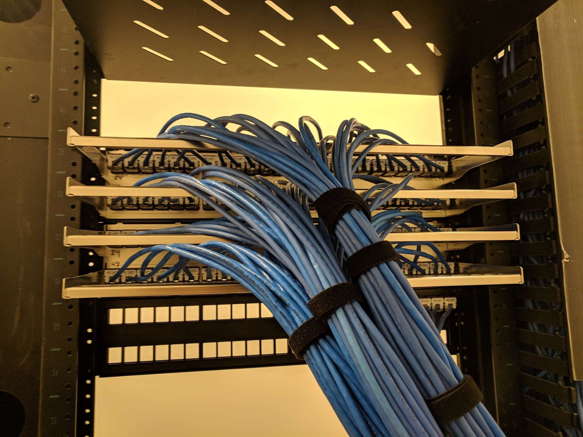 Blue network cables bundled in a server rack, neatly routed across patch panels.