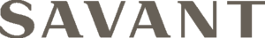 Gray serif word “SAVANT” on a white background