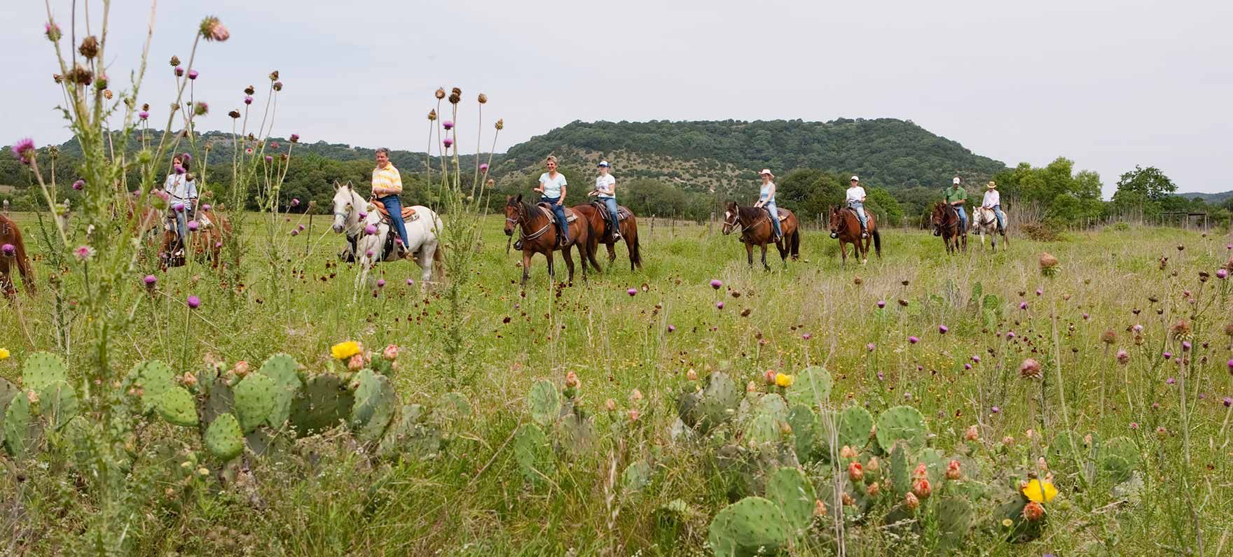 Group of horseback riders crossing a wildflower meadow with a tree line in the distance.