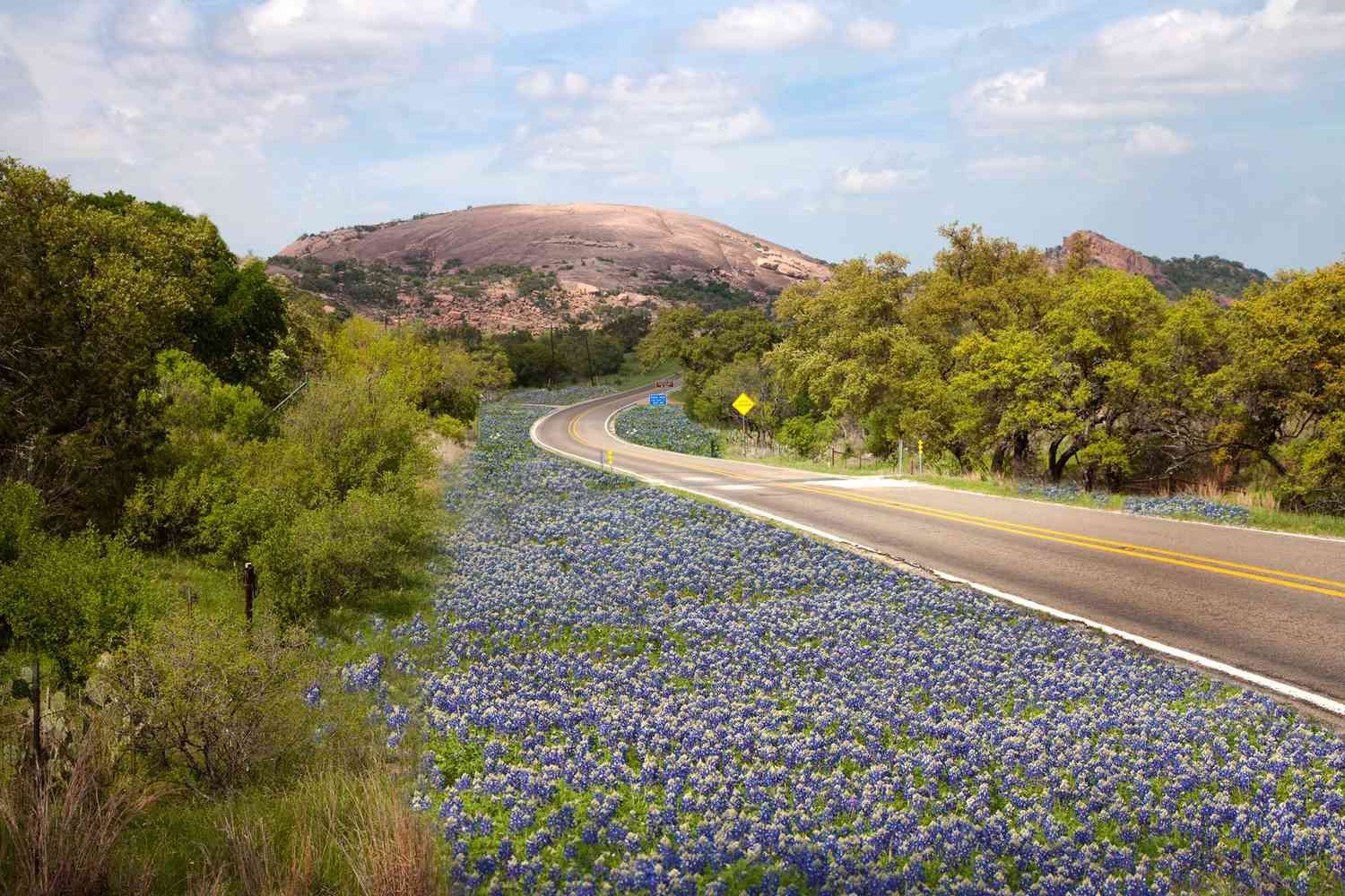 Wildflower-covered roadside curving through green hills with a rocky mountain in the distance
