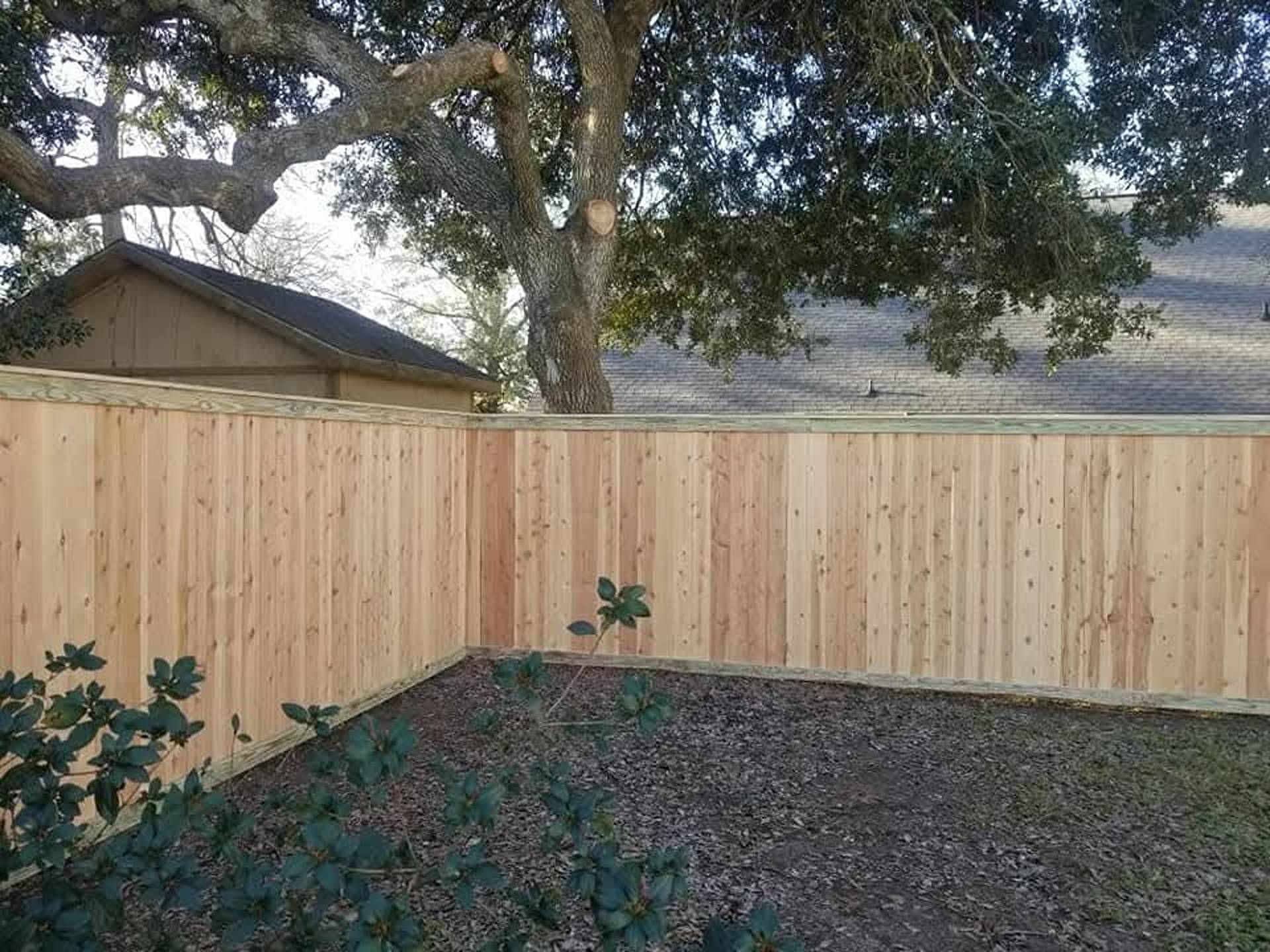 Wooden backyard fence with a large tree over dark mulch and small plants nearby