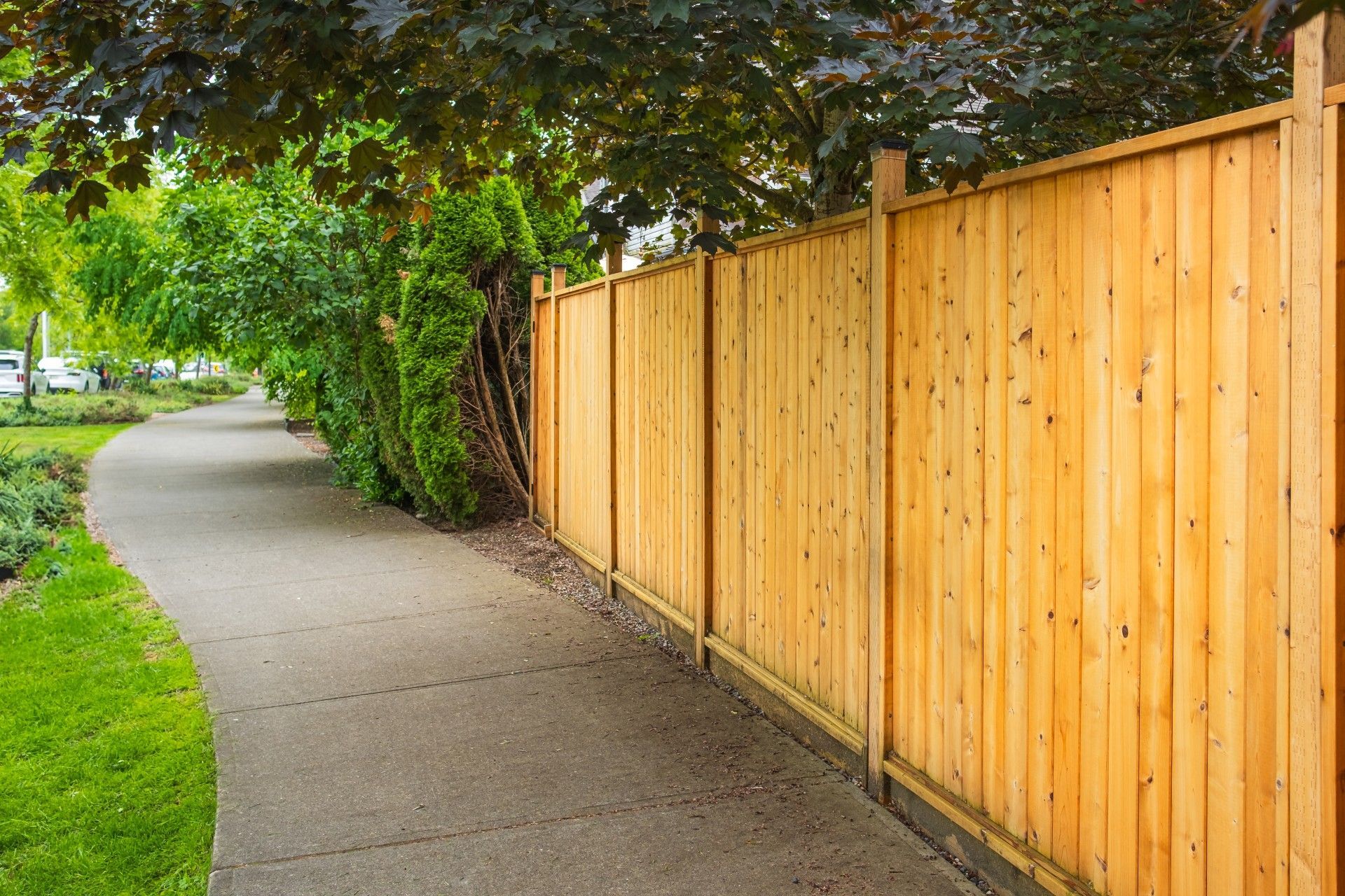 Curved sidewalk beside a tall wooden fence and green trees in a park-like area