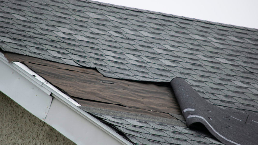 Roof Repair
