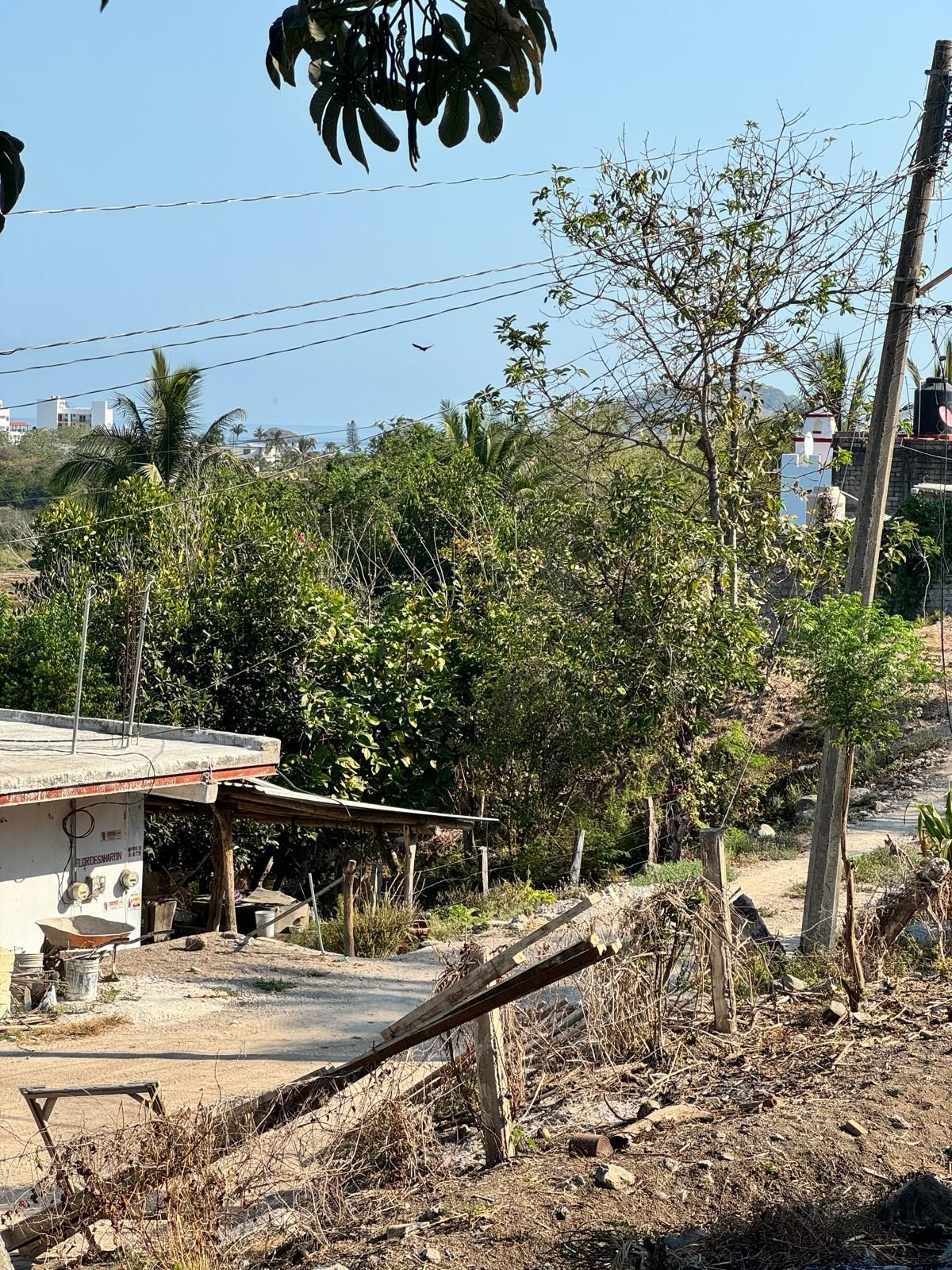 TERRENO BETEL 1