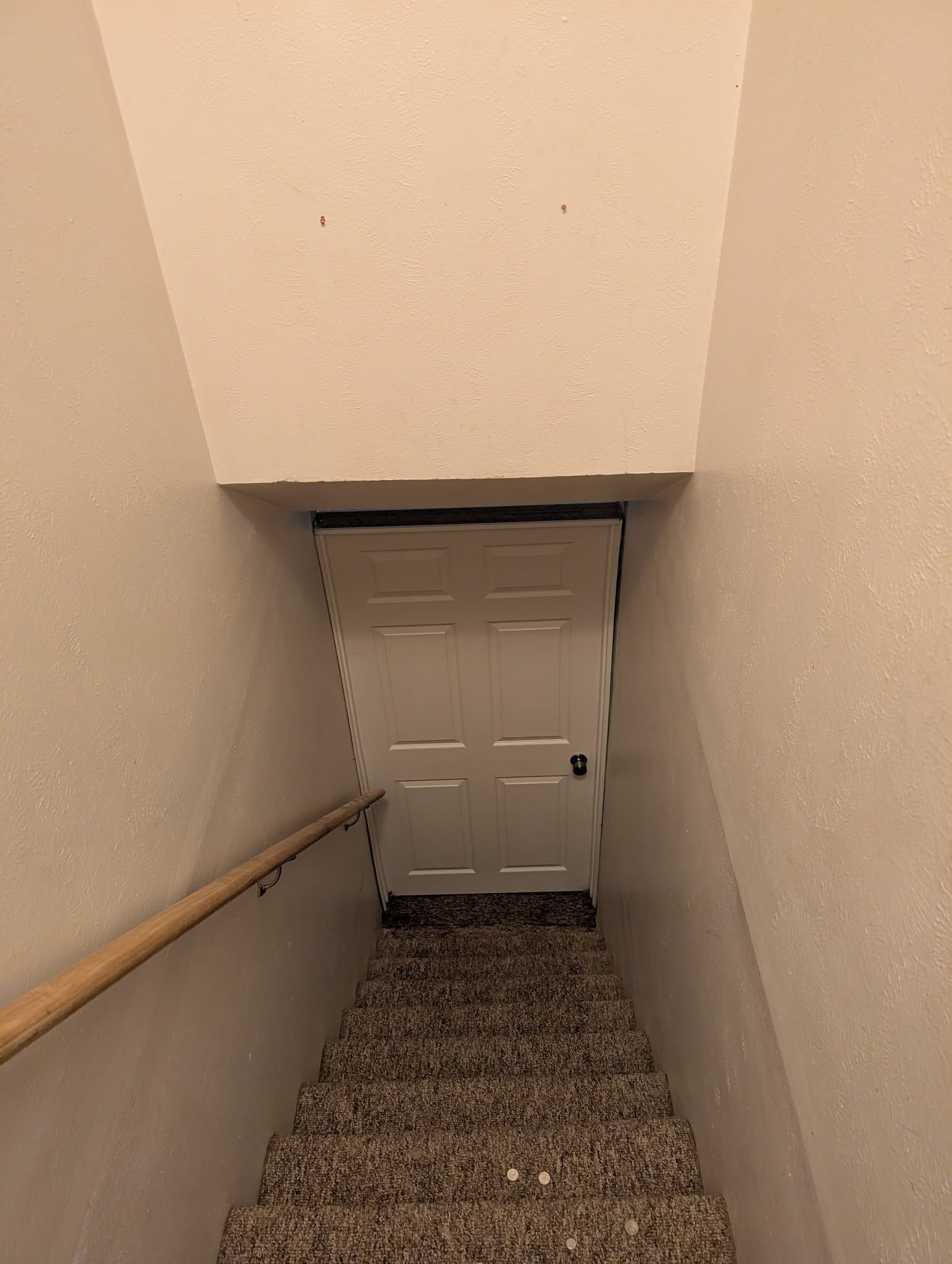 Narrow carpeted basement stairwell leading to a white door at the bottom