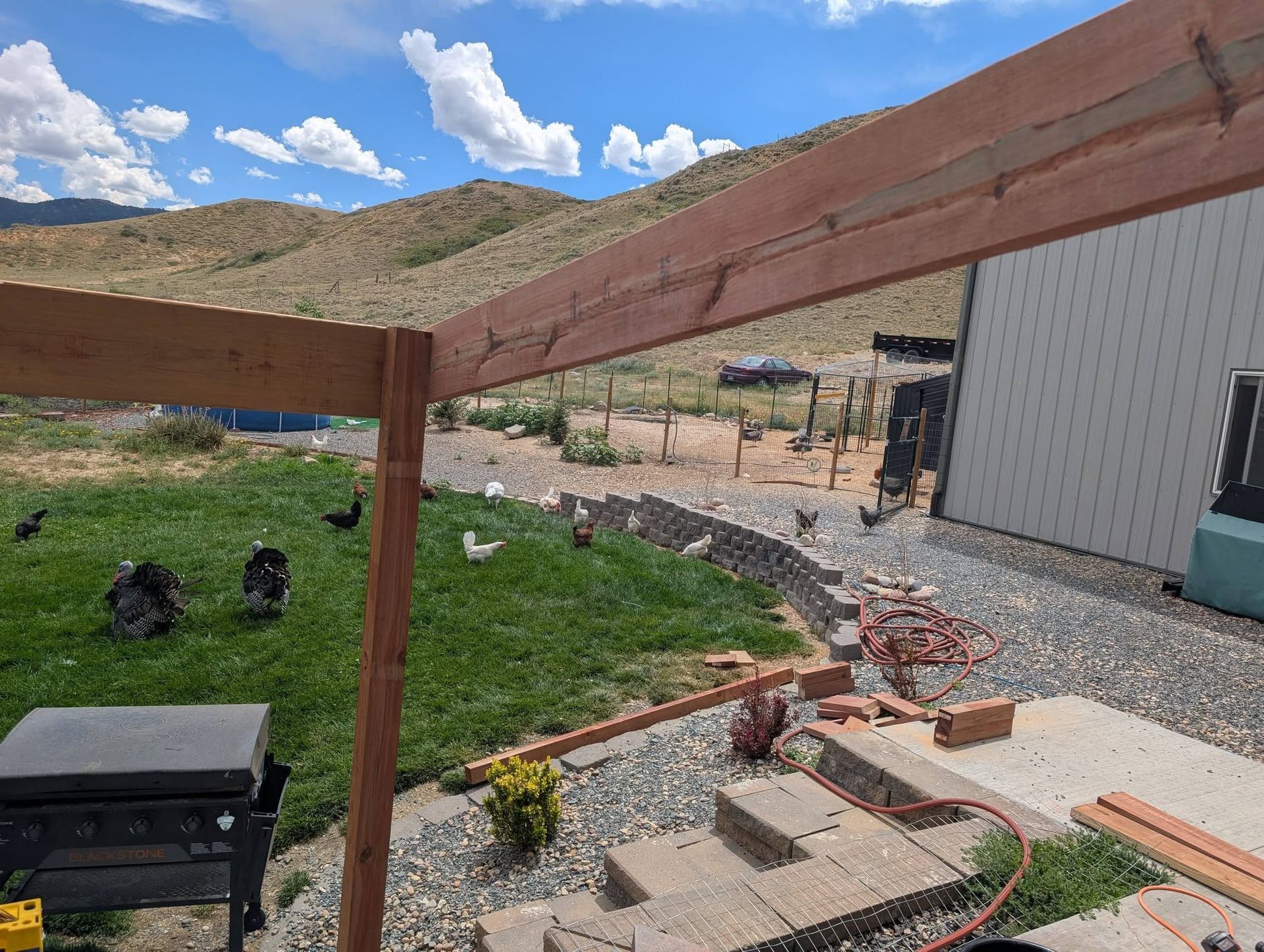 Backyard patio with wooden pergola, green lawn, gravel path, and shed beside a mountain view