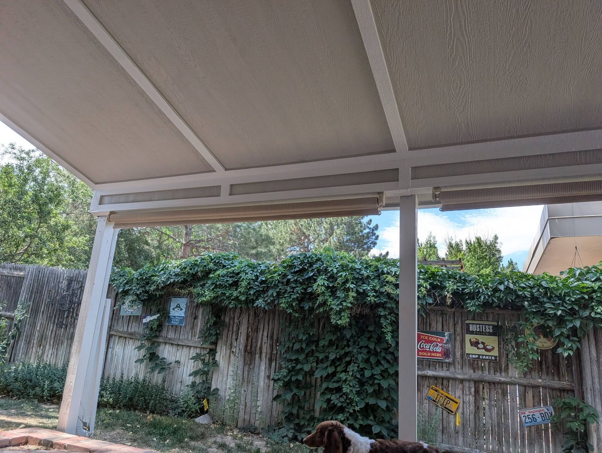 Covered patio overlooking a vine-covered wall and gate, with a small brown-and-white dog below.
