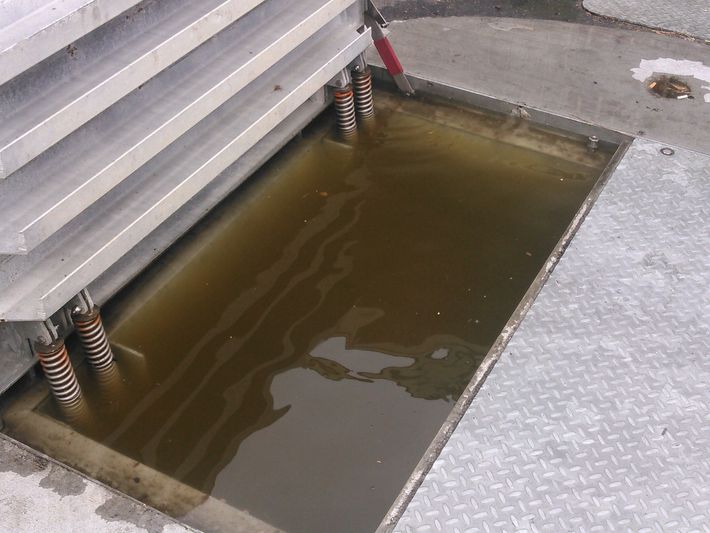 A person is using a vacuum hose to clean a drain.