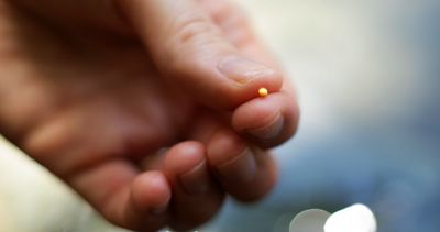 From the tiny mustard seed, great things can grow!