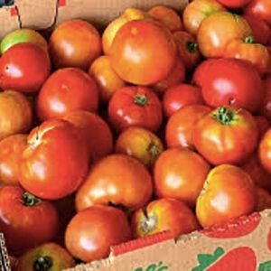 Healthy Food Pantry
