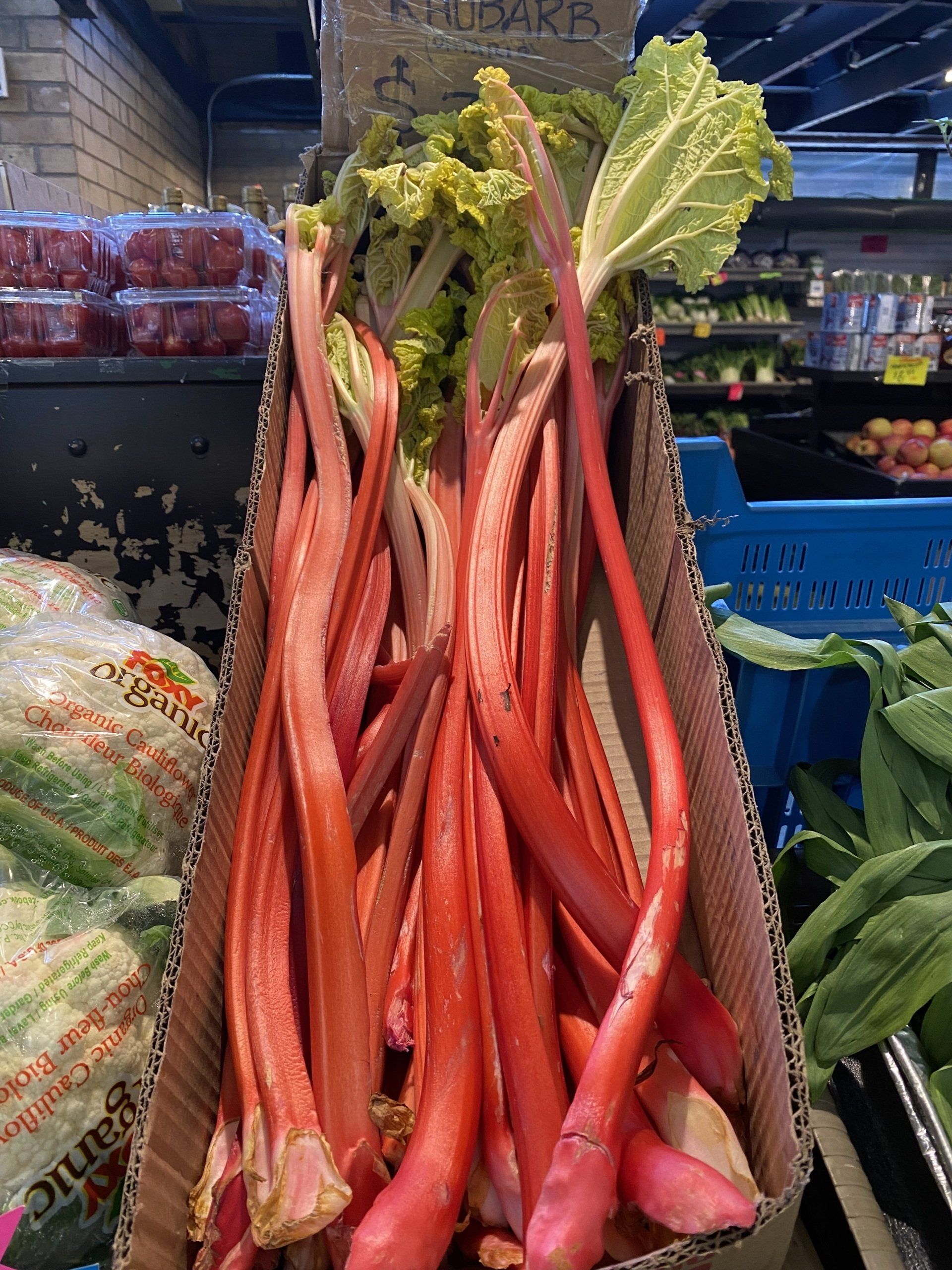 A box of rhubarb is sitting on a shelf in a grocery store.