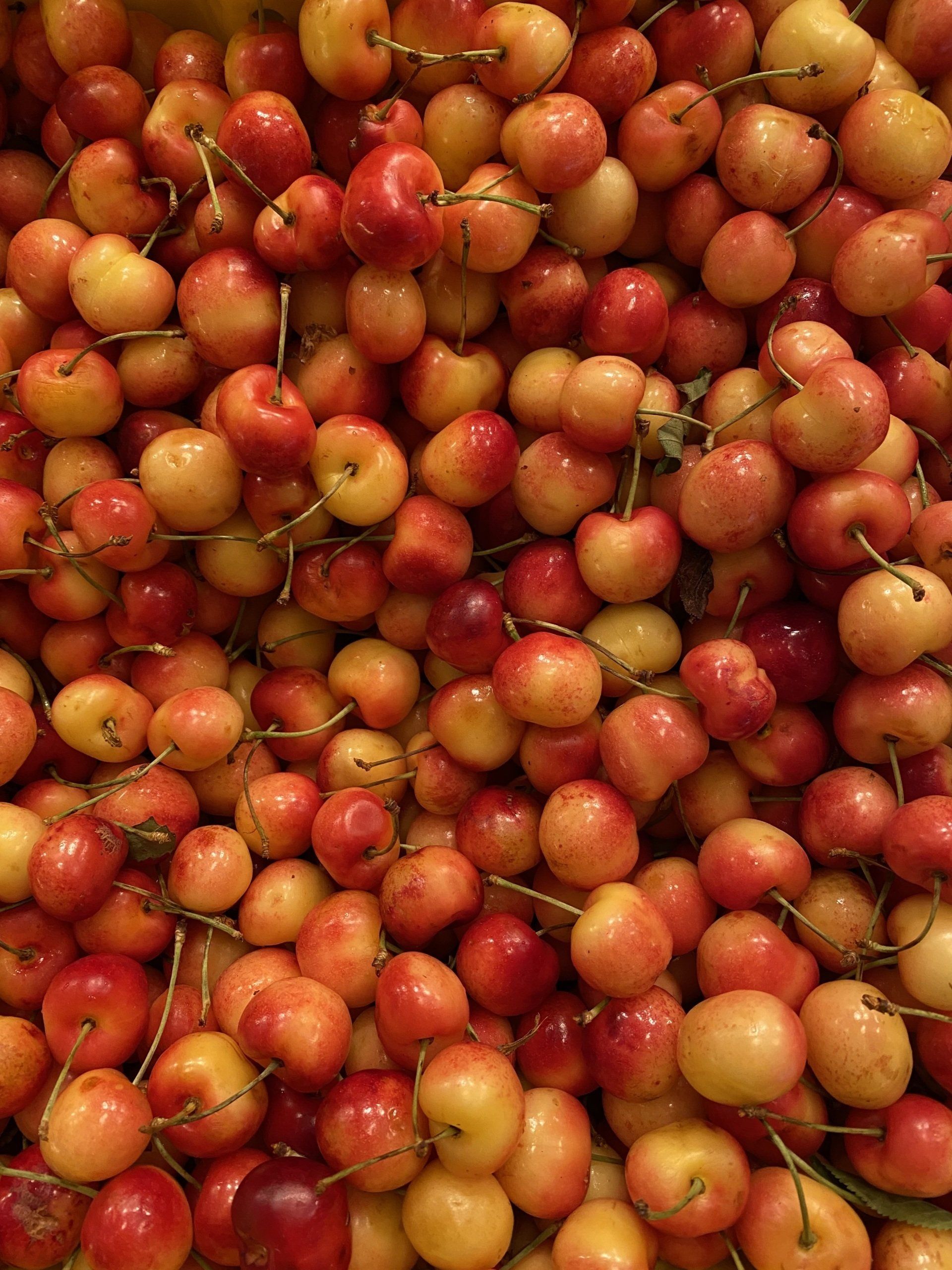 A bunch of cherries are stacked on top of each other