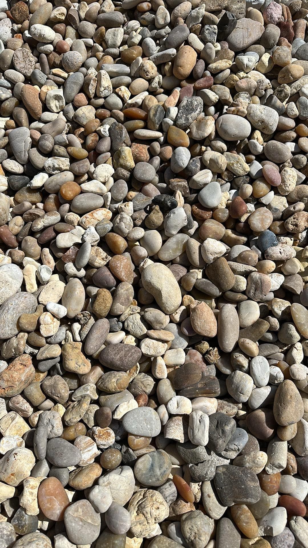 Close-up of small pebbles and gravel in shades of tan, gray, and brown.