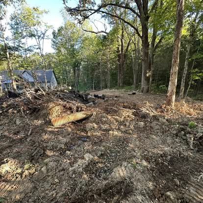 Cleared forest lot with dirt, logs, and debris beside trees and a small house at left