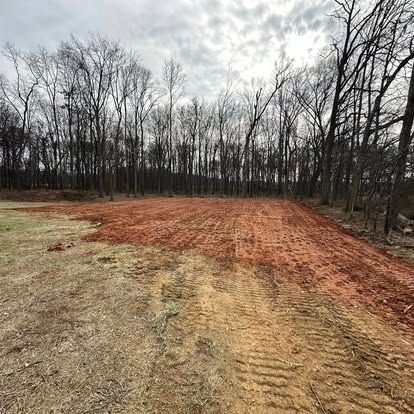 Cleared dirt lot at forest edge under overcast sky, with bare trees in the background