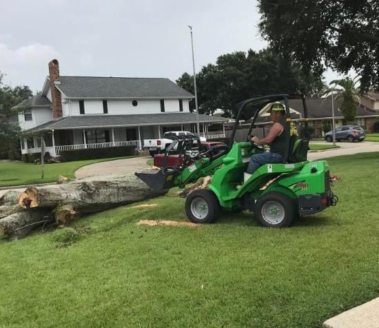 Small Stumpy Tree Service Expert Tree Services | David's Tree & Stump