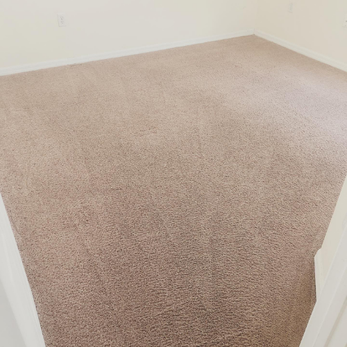 carpet cleaning stains orlando