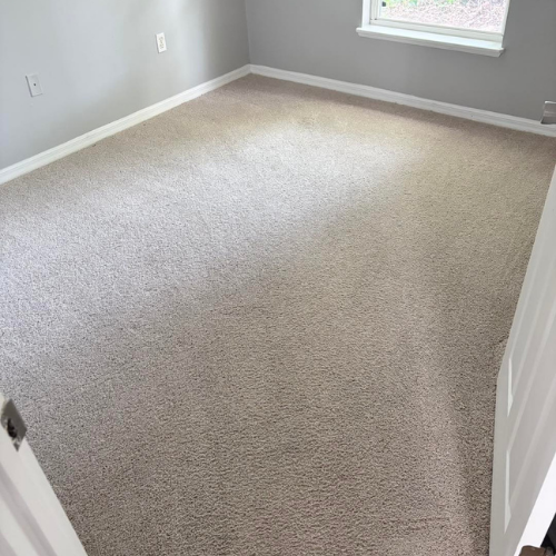 carpet cleaning orlando 32819