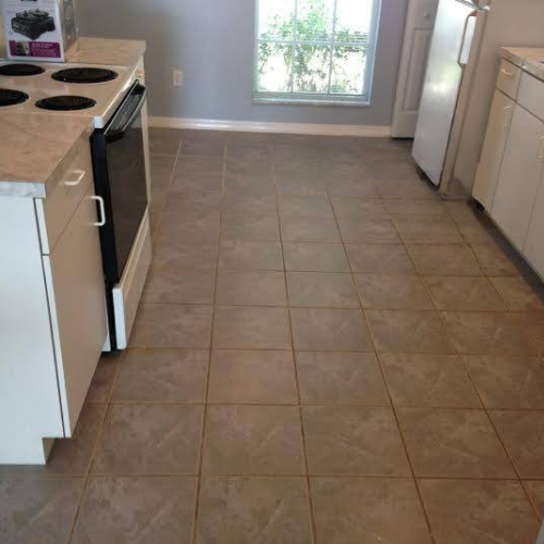 tile cleaner winter garden