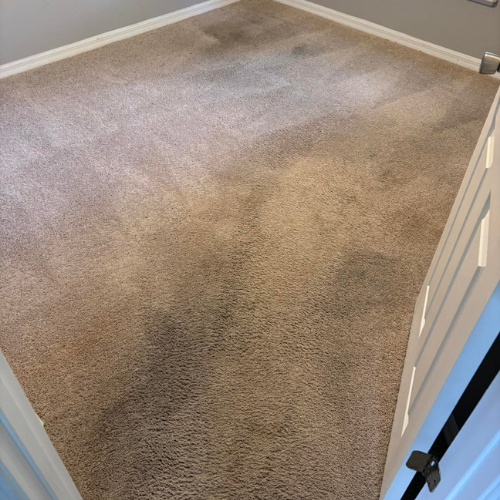 carpet cleaning service orlando